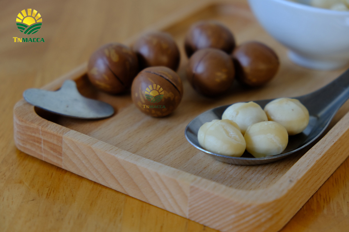 Sữa Hạt Macca : 3 Cách lựa sữa macca phù hợp với nhu cầu sử dụng